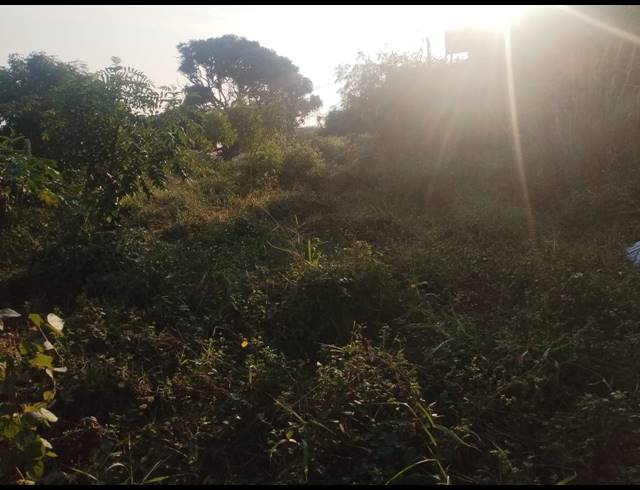 915M² VACANT LAND FOR SALE IN BLUFF
